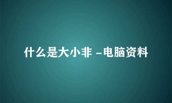 什么是大小非 -电脑资料