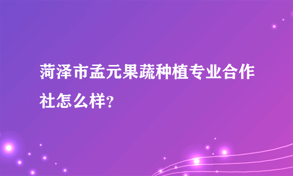 菏泽市孟元果蔬种植专业合作社怎么样？