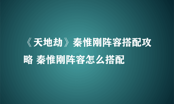 《天地劫》秦惟刚阵容搭配攻略 秦惟刚阵容怎么搭配