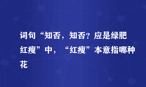 词句“知否，知否？应是绿肥红瘦”中，“红瘦”本意指哪种花