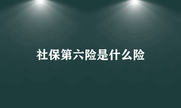 社保第六险是什么险