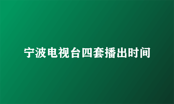 宁波电视台四套播出时间