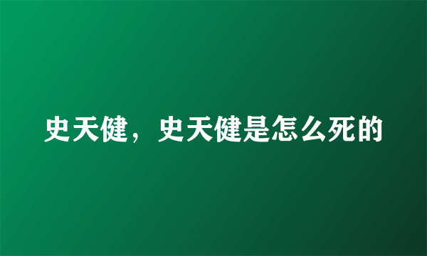 史天健，史天健是怎么死的