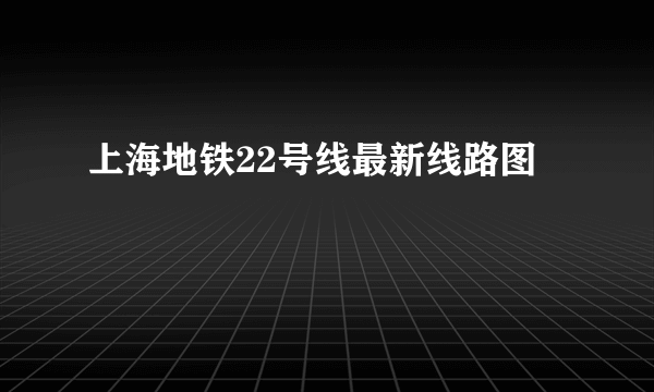 上海地铁22号线最新线路图