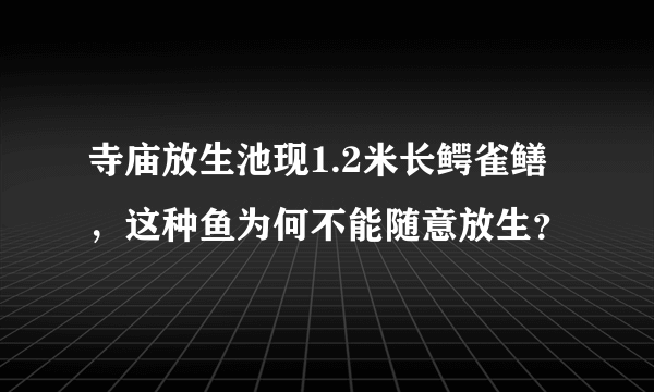 寺庙放生池现1.2米长鳄雀鳝，这种鱼为何不能随意放生？