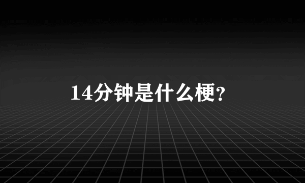 14分钟是什么梗？