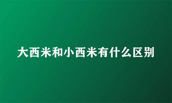 大西米和小西米有什么区别