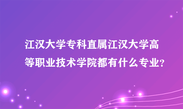 江汉大学专科直属江汉大学高等职业技术学院都有什么专业？