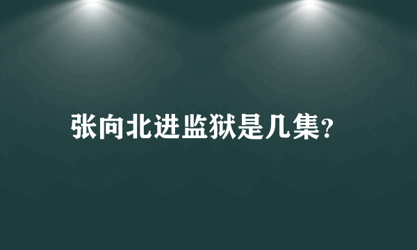 张向北进监狱是几集？