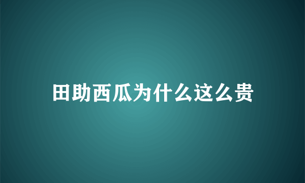 田助西瓜为什么这么贵