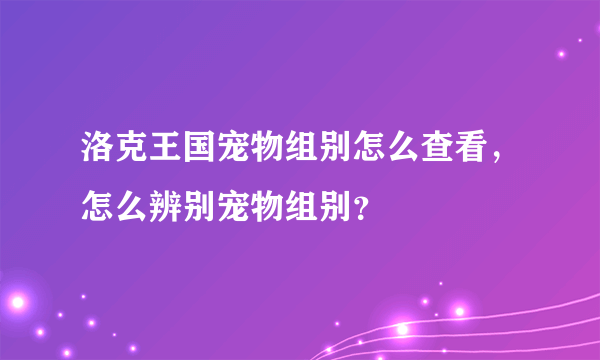 洛克王国宠物组别怎么查看，怎么辨别宠物组别？