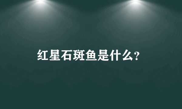 红星石斑鱼是什么？