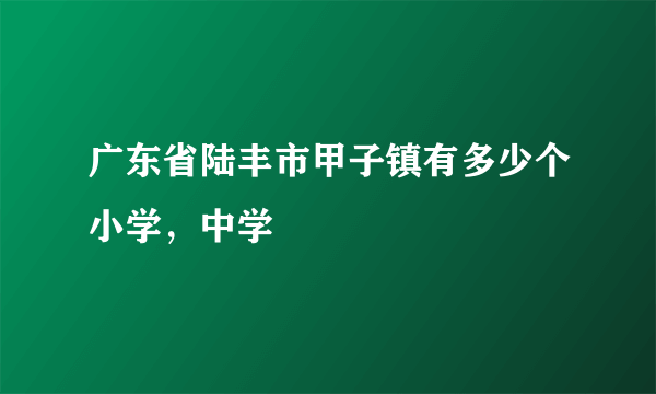 广东省陆丰市甲子镇有多少个小学，中学