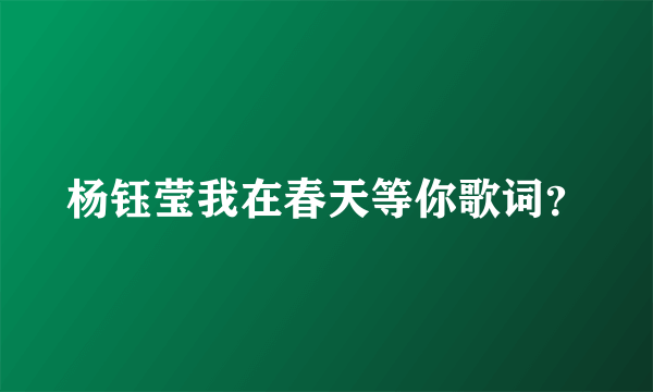 杨钰莹我在春天等你歌词？