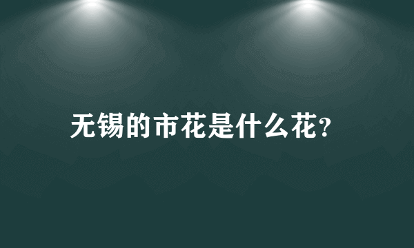 无锡的市花是什么花？