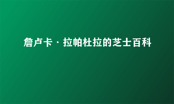 詹卢卡·拉帕杜拉的芝士百科