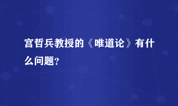 宫哲兵教授的《唯道论》有什么问题？