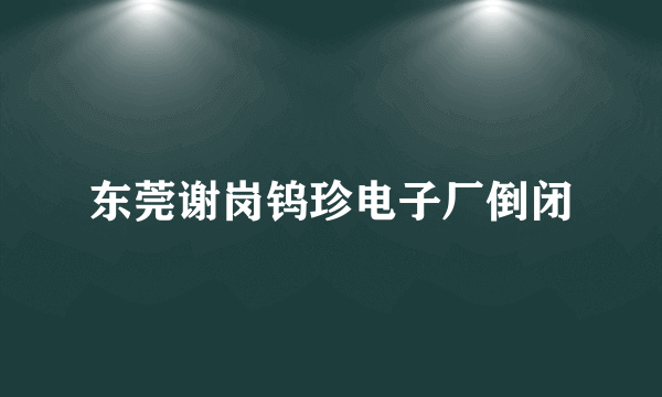 东莞谢岗钨珍电子厂倒闭