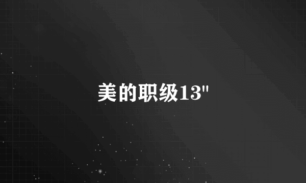 美的职级13