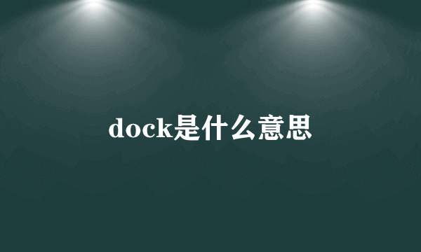 dock是什么意思