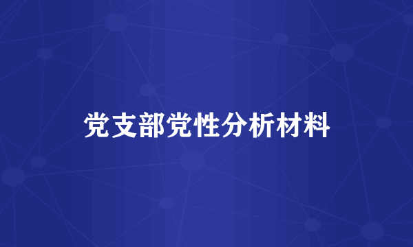 党支部党性分析材料