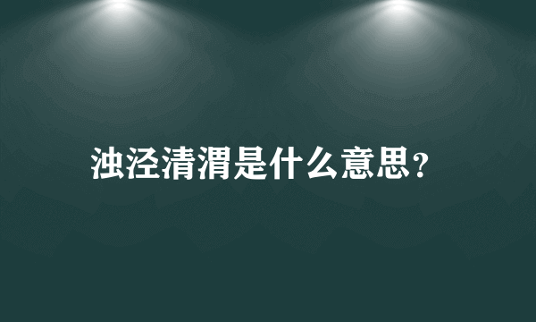 浊泾清渭是什么意思？