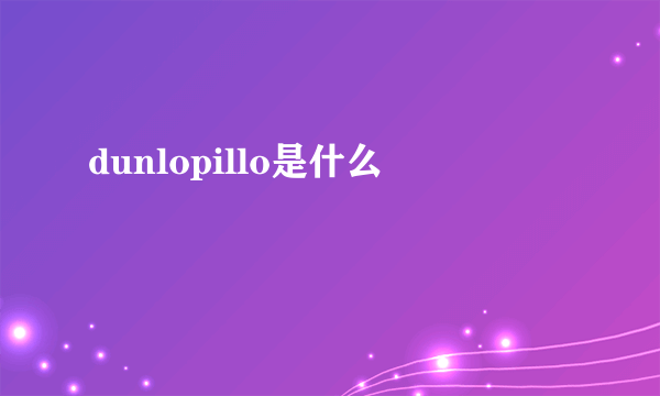 dunlopillo是什么