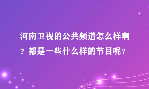 河南卫视的公共频道怎么样啊？都是一些什么样的节目呢？