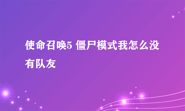 使命召唤5 僵尸模式我怎么没有队友