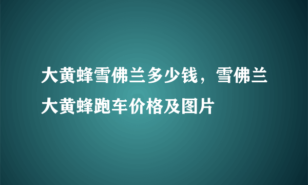 大黄蜂雪佛兰多少钱，雪佛兰大黄蜂跑车价格及图片