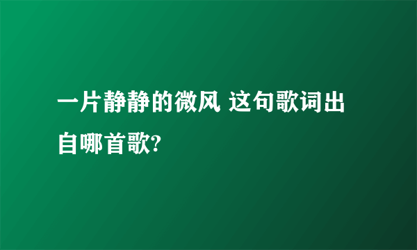 一片静静的微风 这句歌词出自哪首歌?