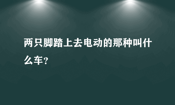 两只脚踏上去电动的那种叫什么车？