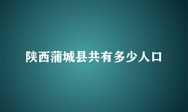 陕西蒲城县共有多少人口