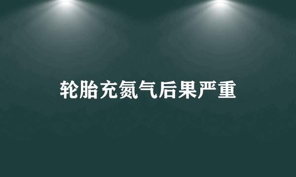 轮胎充氮气后果严重