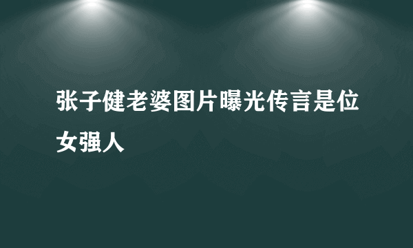 张子健老婆图片曝光传言是位女强人