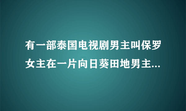 有一部泰国电视剧男主叫保罗女主在一片向日葵田地男主拿着相机看见女主一见钟情那部电视剧叫什么名字啊？