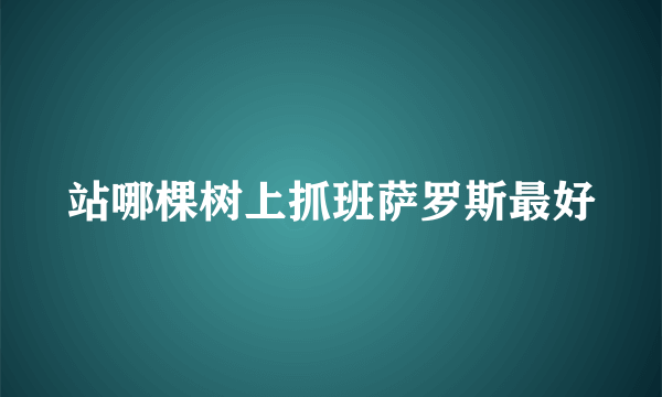 站哪棵树上抓班萨罗斯最好