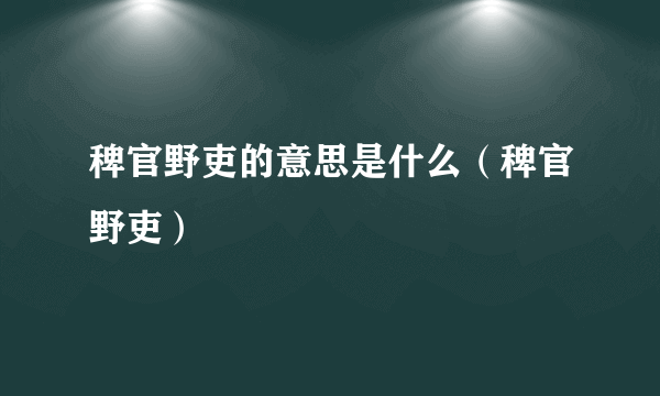 稗官野吏的意思是什么（稗官野吏）