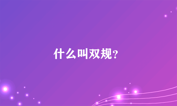 什么叫双规？