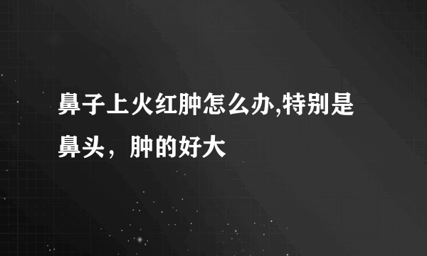 鼻子上火红肿怎么办,特别是鼻头，肿的好大