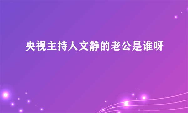 央视主持人文静的老公是谁呀