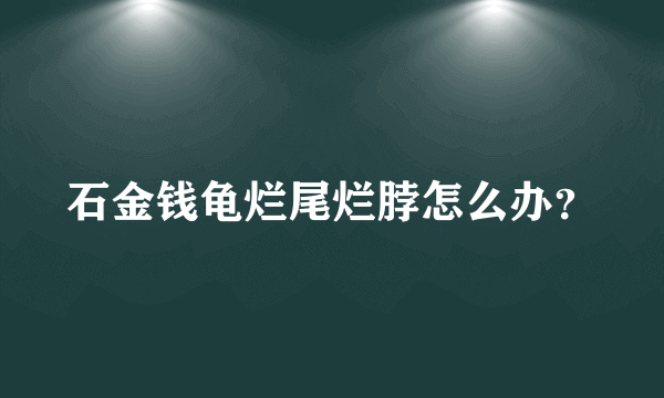 石金钱龟烂尾烂脖怎么办？