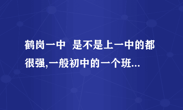 鹤岗一中  是不是上一中的都很强,一般初中的一个班百分之多少去一中