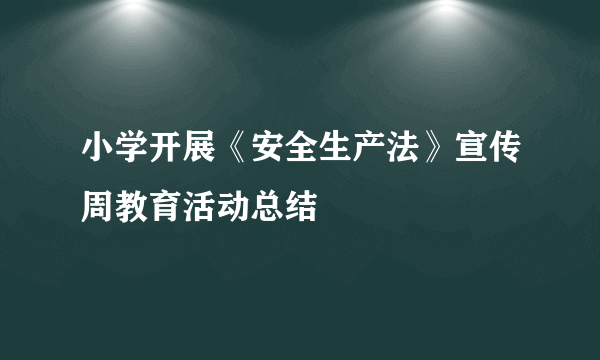 小学开展《安全生产法》宣传周教育活动总结