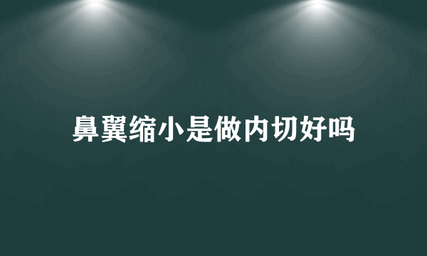 鼻翼缩小是做内切好吗