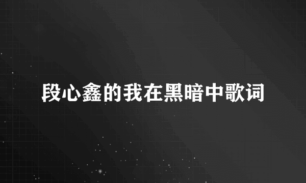 段心鑫的我在黑暗中歌词