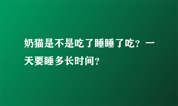 奶猫是不是吃了睡睡了吃？一天要睡多长时间？