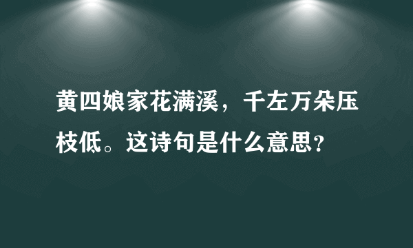 黄四娘家花满溪，千左万朵压枝低。这诗句是什么意思？