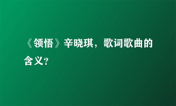 《领悟》辛晓琪，歌词歌曲的含义？