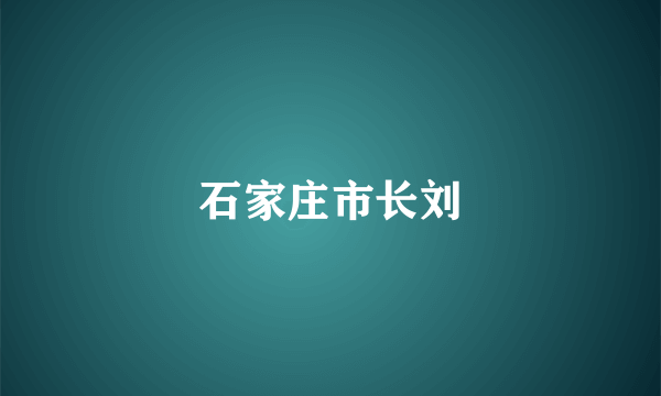 石家庄市长刘